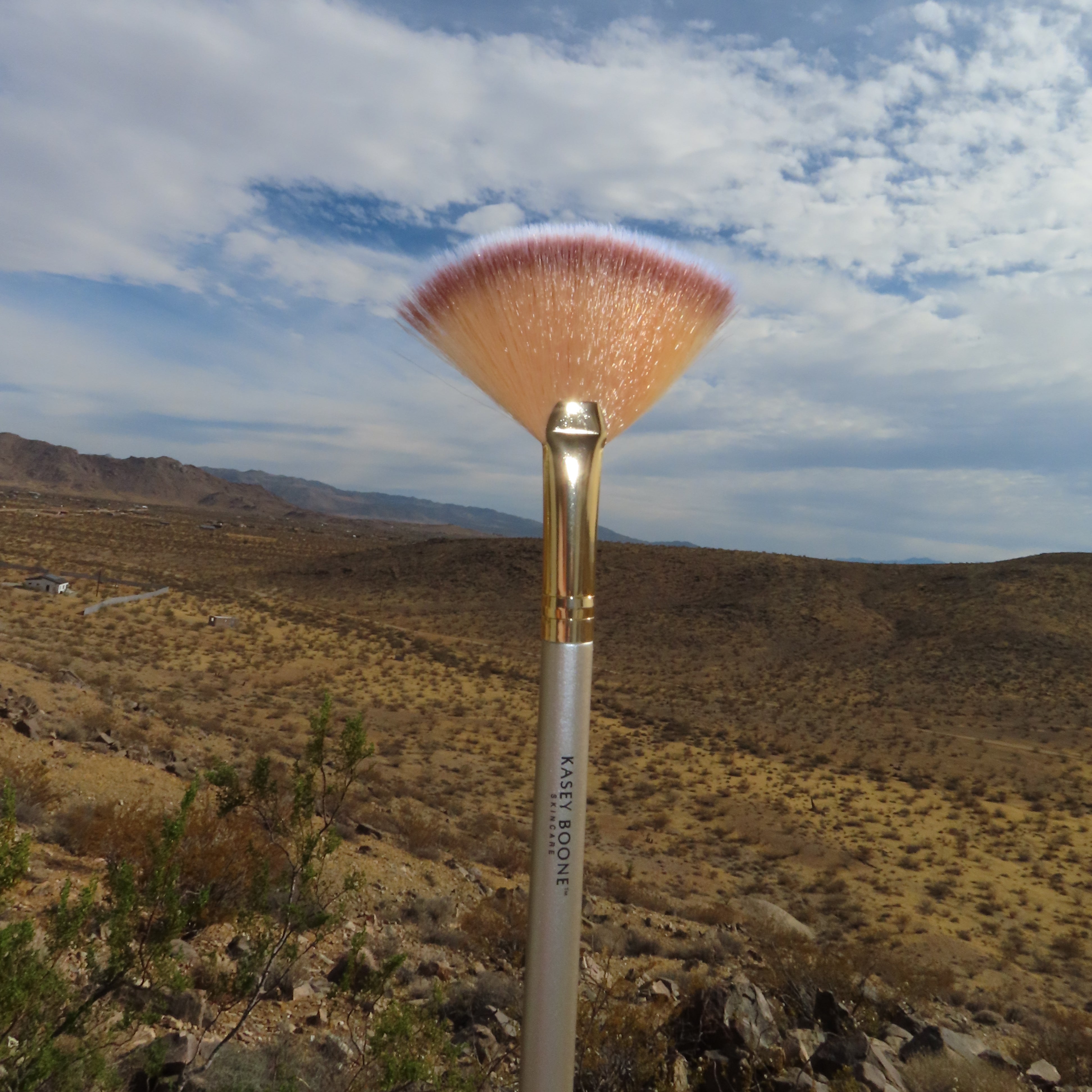 Champagne Fan Brush