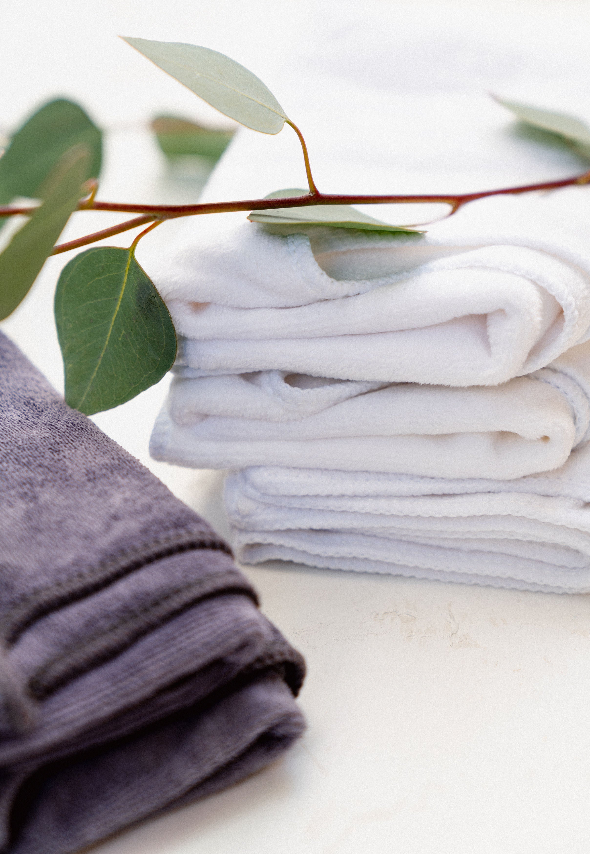 Towel Subscription - Autoship
